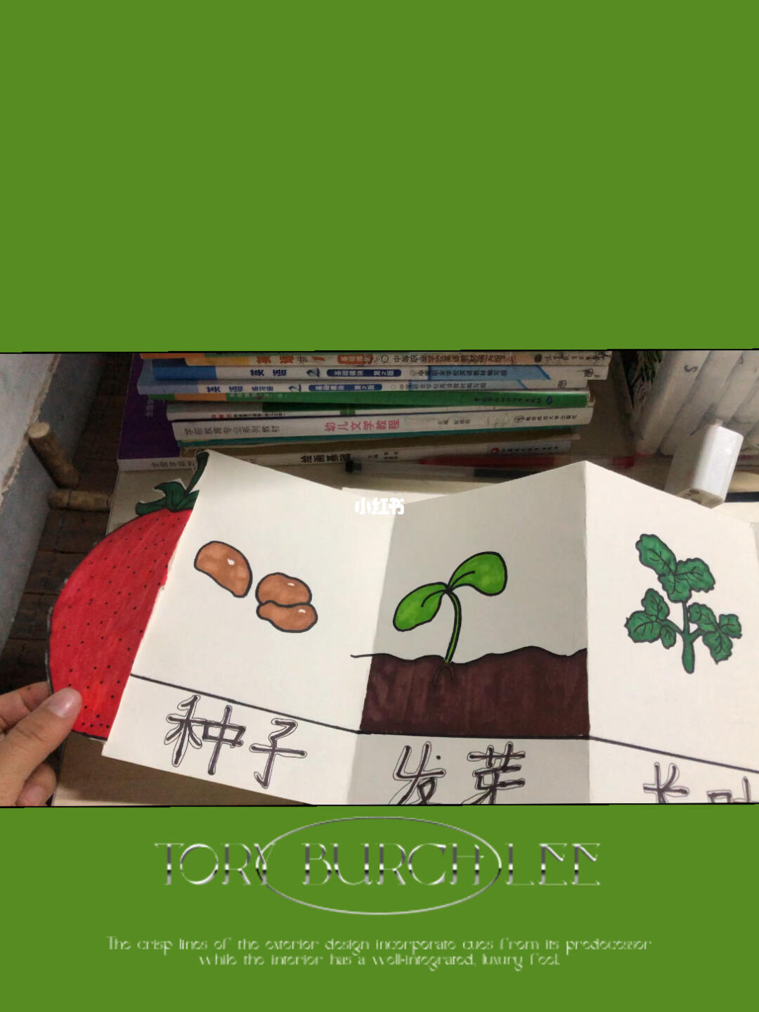 草莓的生长过程绘画创意美术课