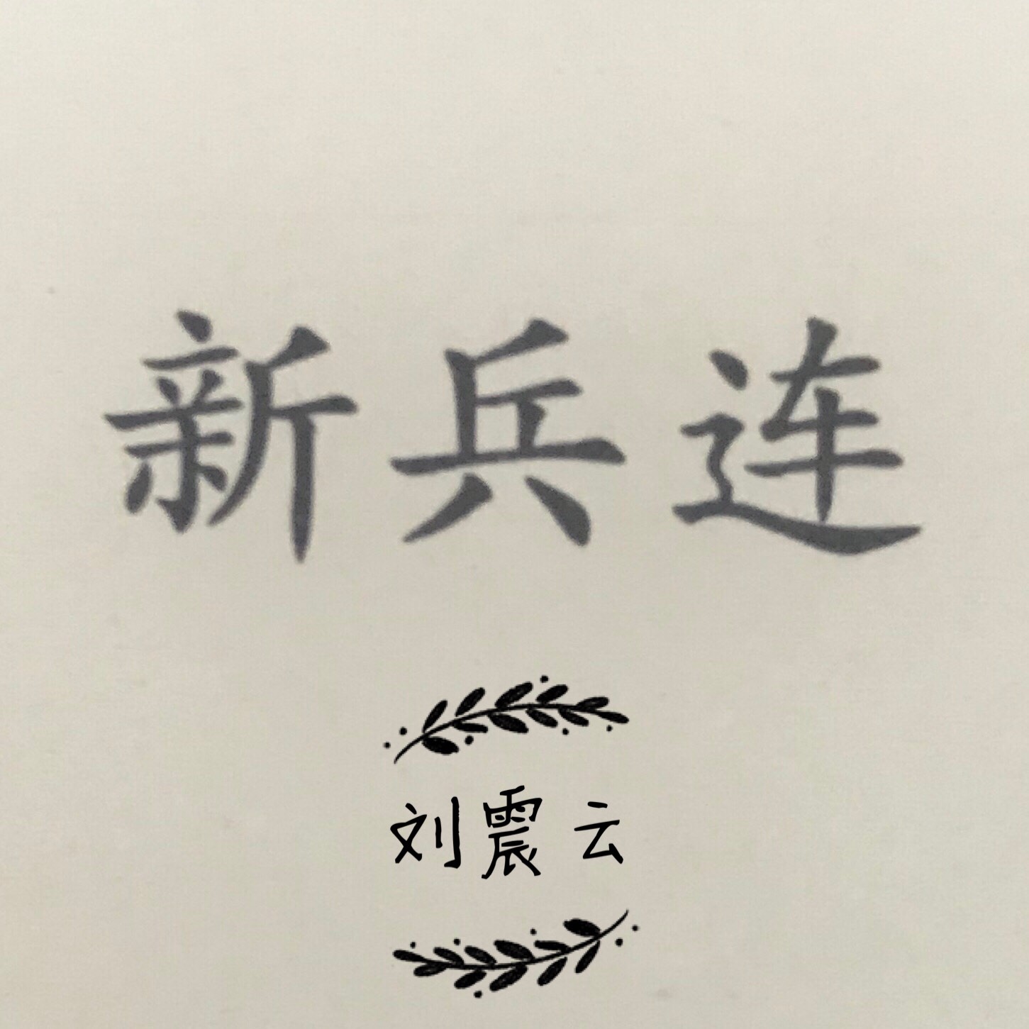 新兵连 一,二(老肥元首争当骨干)_新兵连 刘震云在线听_官场商战小说