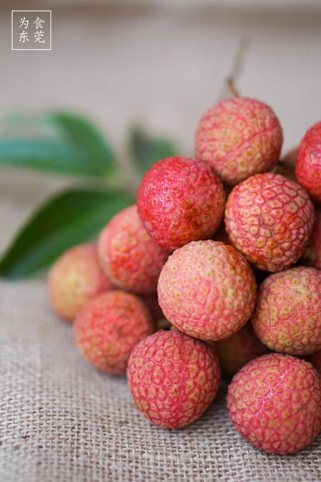 2018第一颗荔枝!