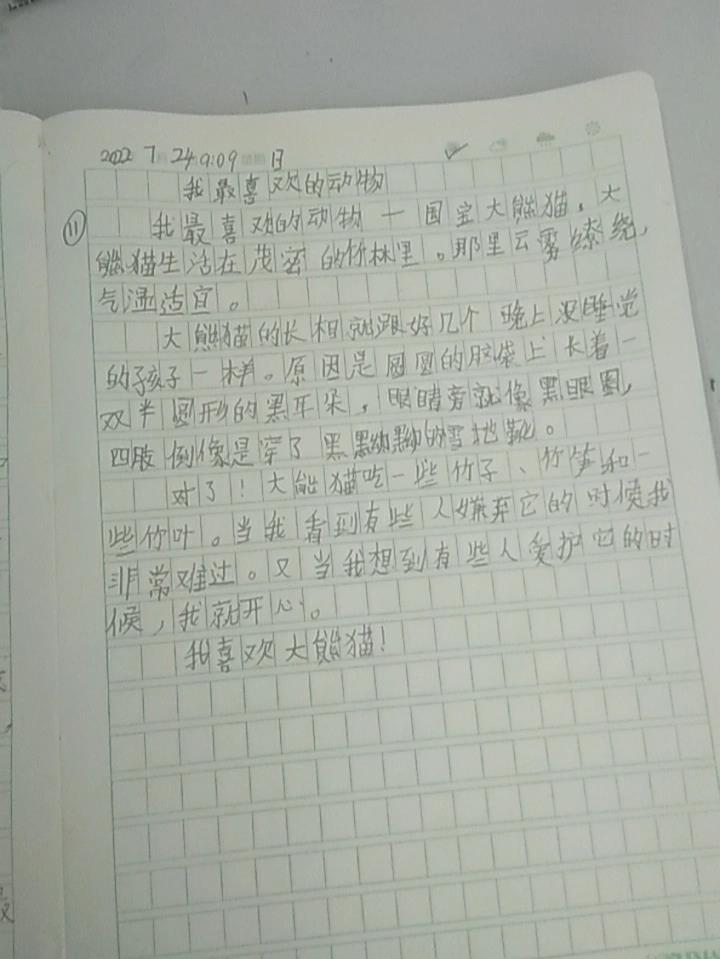 暑假日记150字左右,我最喜欢的动物作文,                ——国宝大