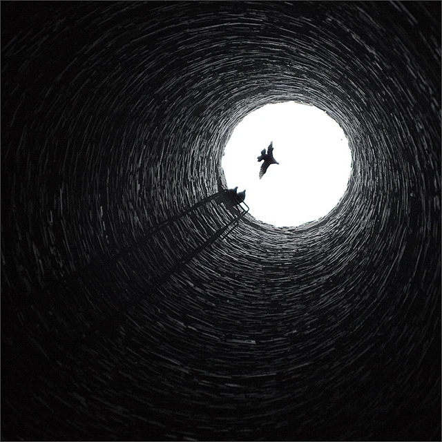 『图集』36张精彩的黑白摄影作品 - 新摄影