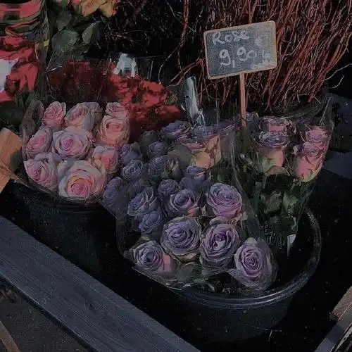 丧系玫瑰背景图