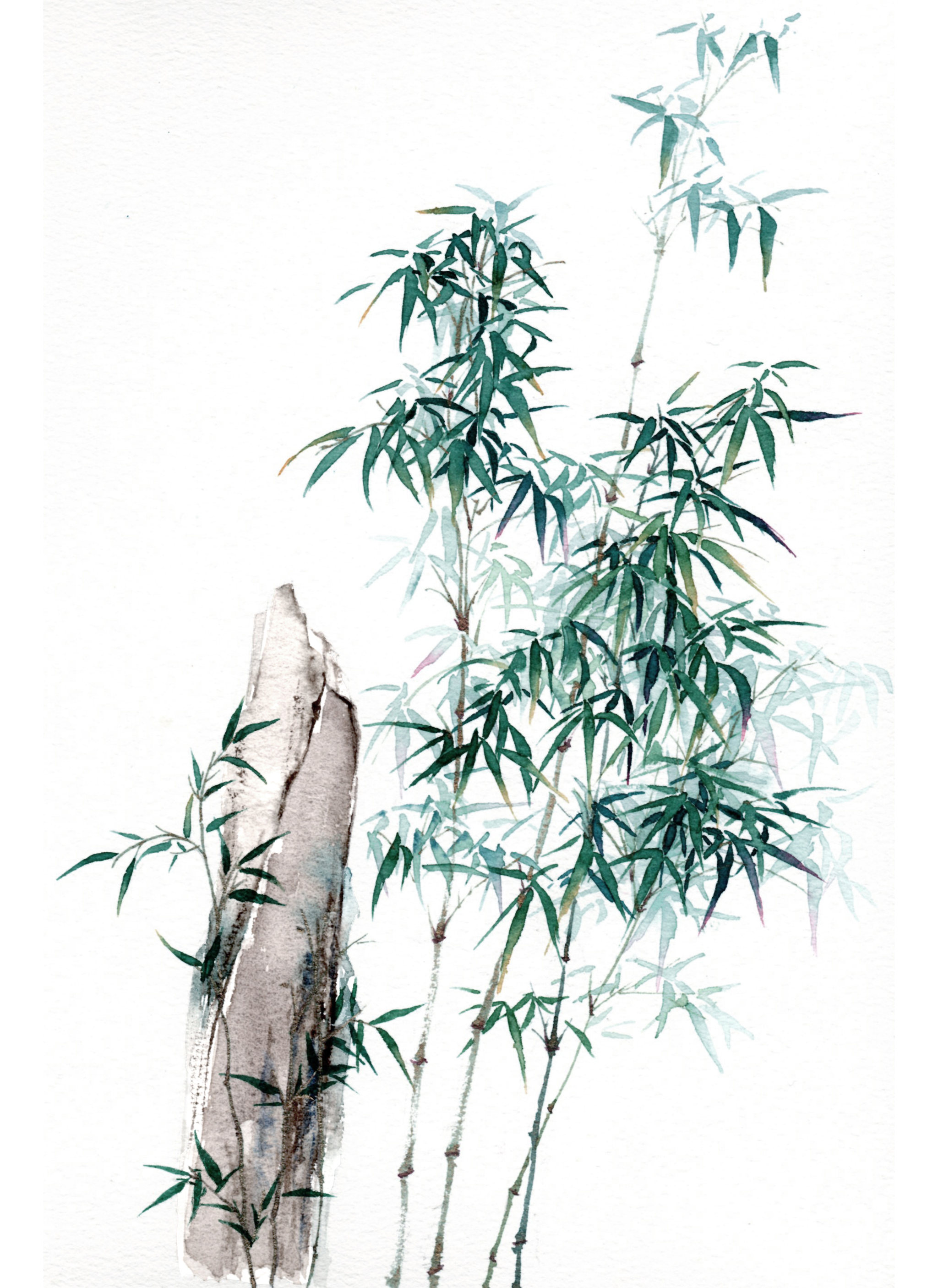 水彩古风竹子竹石