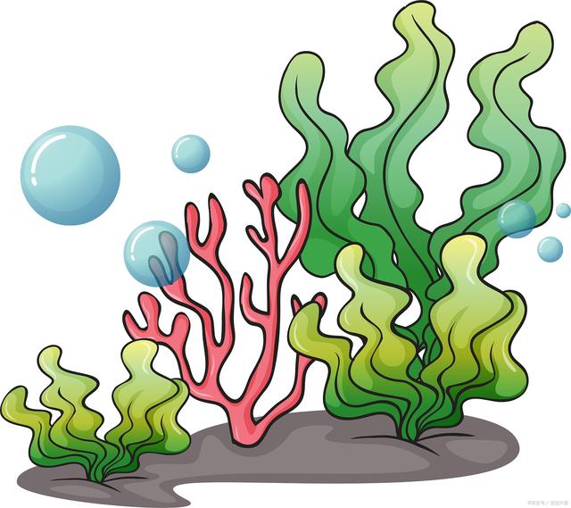 保护海草对于缓减气候变化至关重要,因为它们在海底储存了大量的碳.