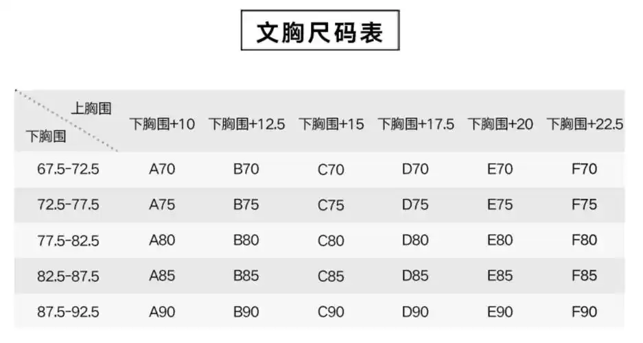 女子文胸尺码表