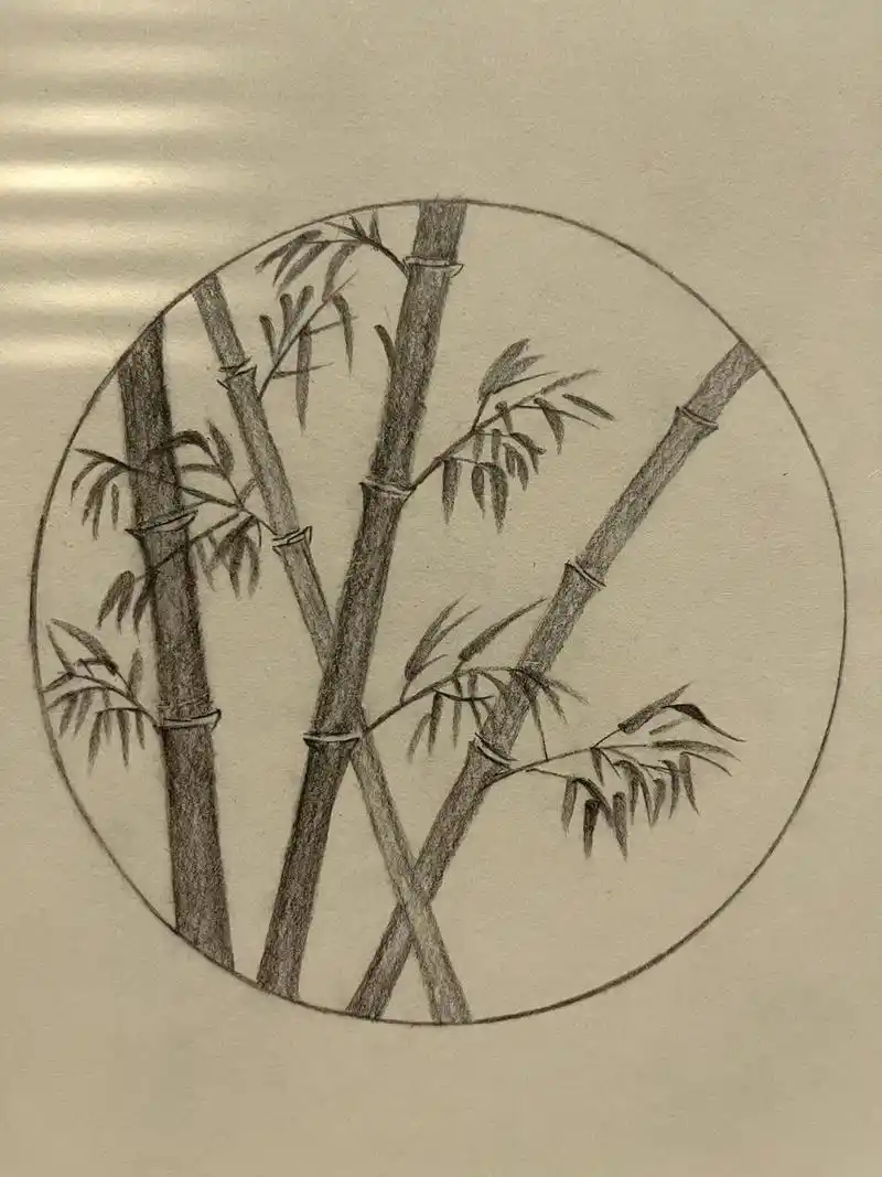 no.61简笔画-"竹子"#绘画临摹 #竹子 "品竹之幽韵, - 抖音