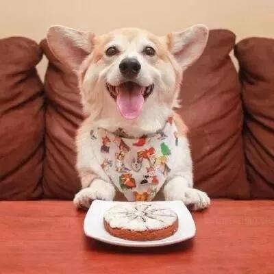 情侣头像丨如果你特无聊,我们就一起聊