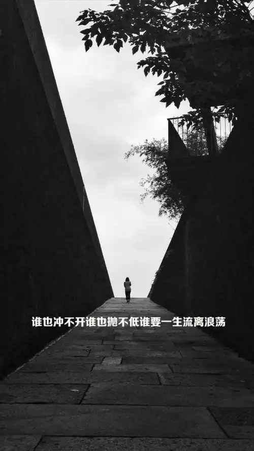 伤感文艺文字控h5背景