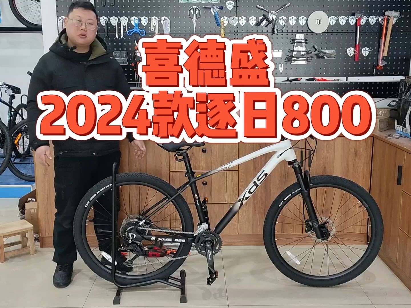 喜德盛2024款逐日800山地车介绍