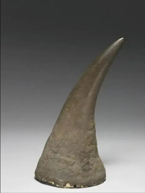 犀牛角,清热解毒,凉血定惊