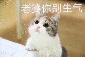 情侣日常聊天段子秀场表情包你若安好便是晴天还能这样玩