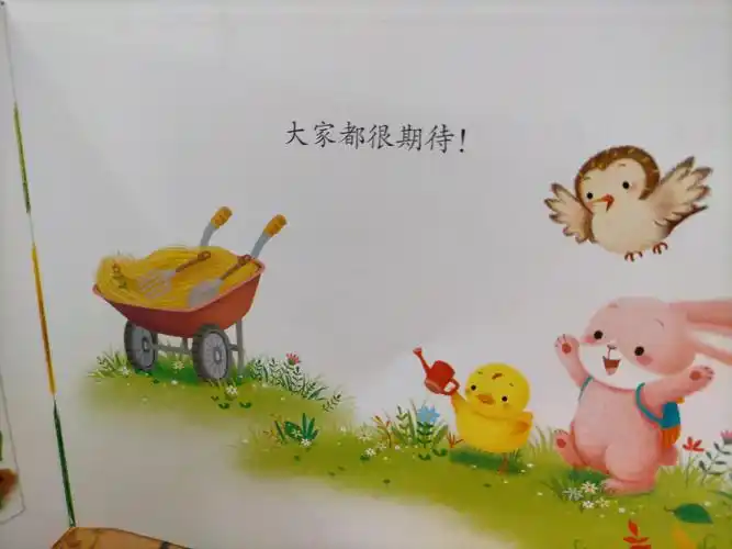 西曲学校幼儿园绘本故事《种子的秘密》