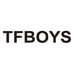 tfboys,tfboys商标注册信息-传众商标网