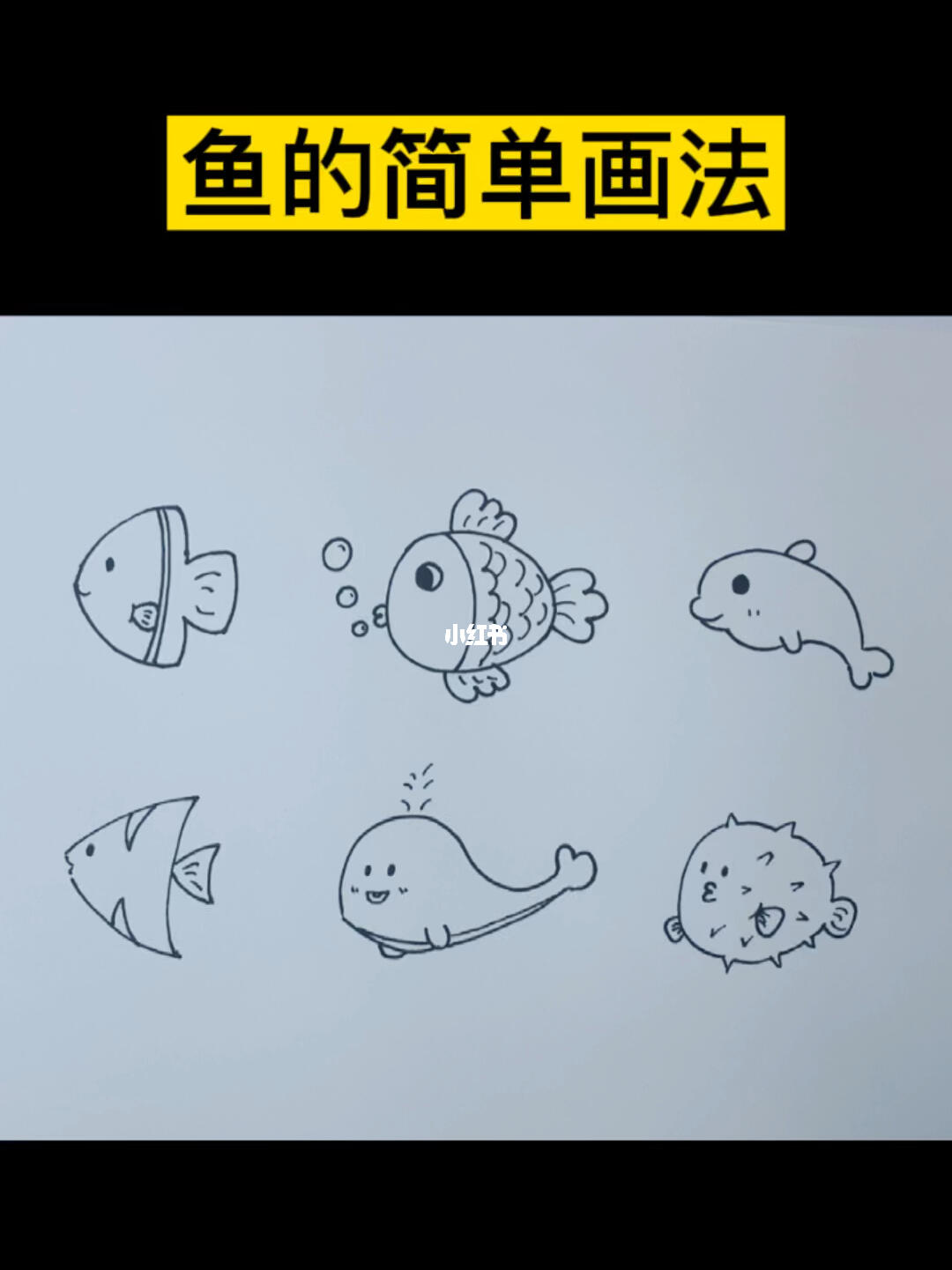 不同种鱼的简单画法