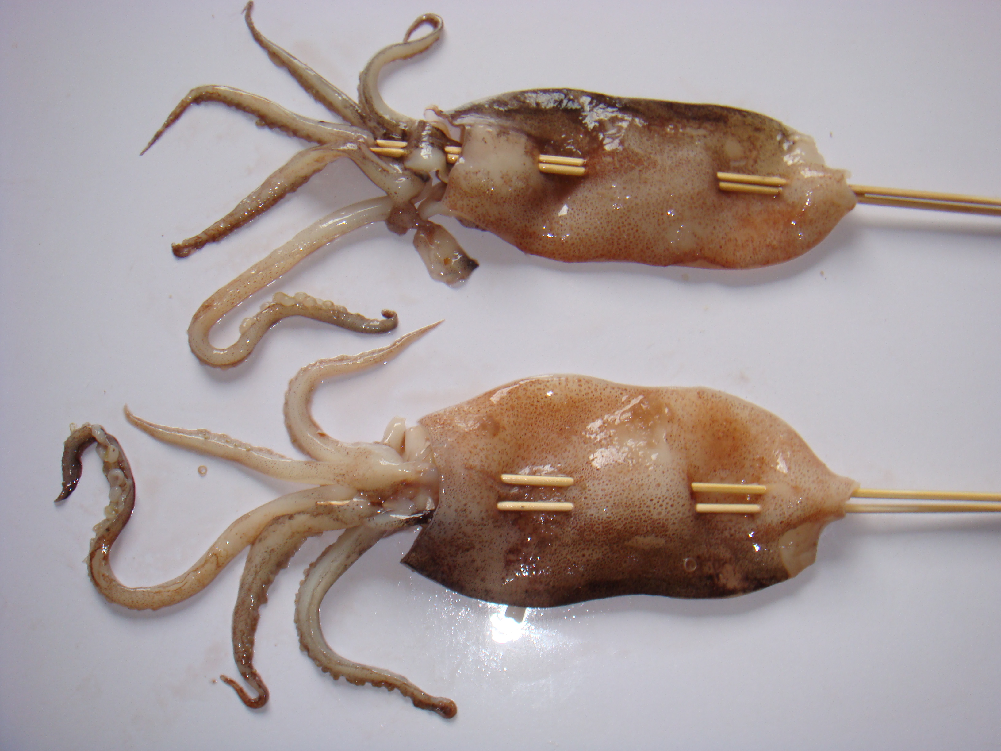 速冻鱿鱼串可以放什么添加剂?