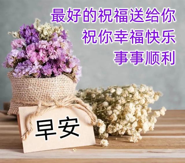 清晨早上问候语及关心话 早上好图片鲜花带字问候