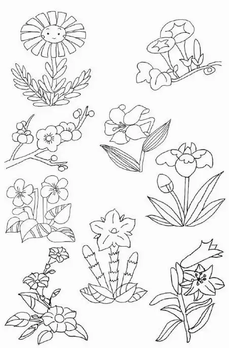 花朵图片简笔画 手绘花朵图片简笔画