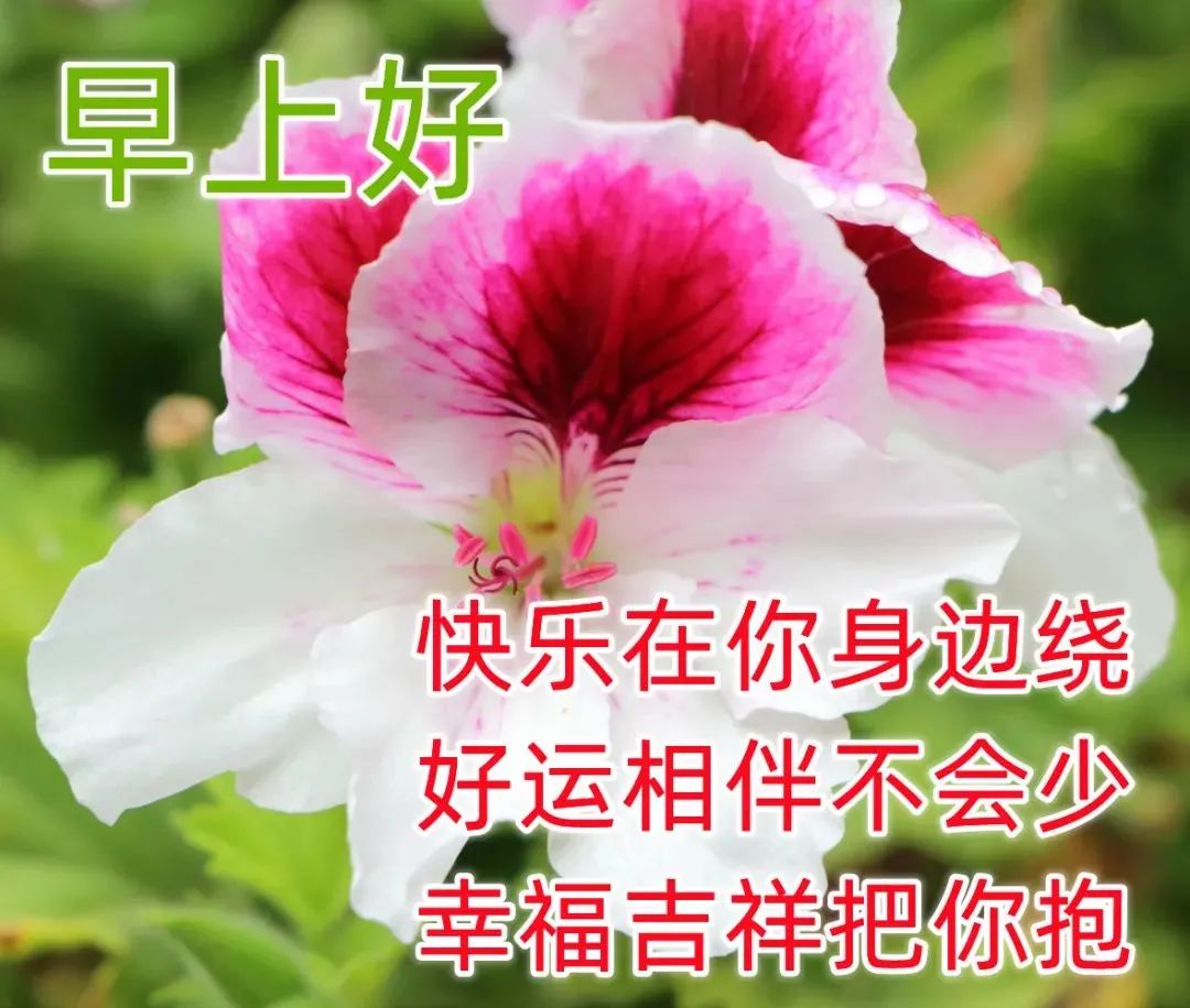 非常漂亮早上好图片带字 最新最美早上好表情图片