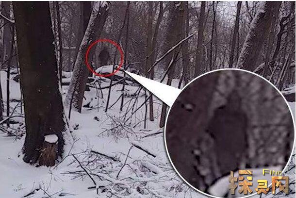 大脚怪的第一次目击事件是在在1920年左右,西北地区有人目睹野人沙斯