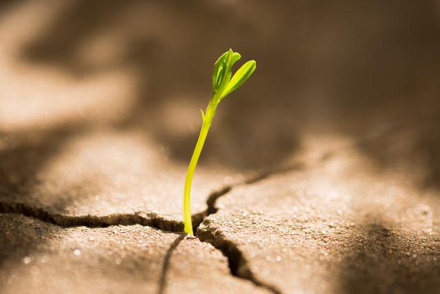 幼稚,两个字小孩也会说.