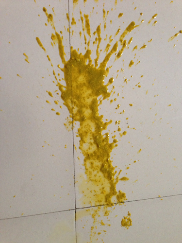 图片是今天刚拉的.