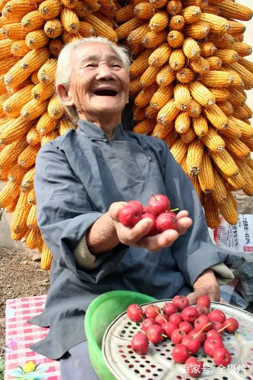 拍摄于2008年的王占文老人.