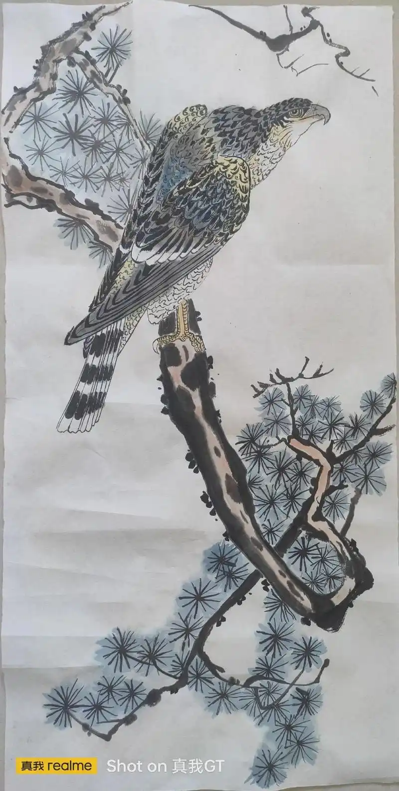 国画花鸟之猛禽——鹰070707 - 抖音