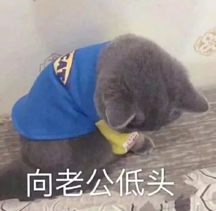 向老公低头_老公_低头表情