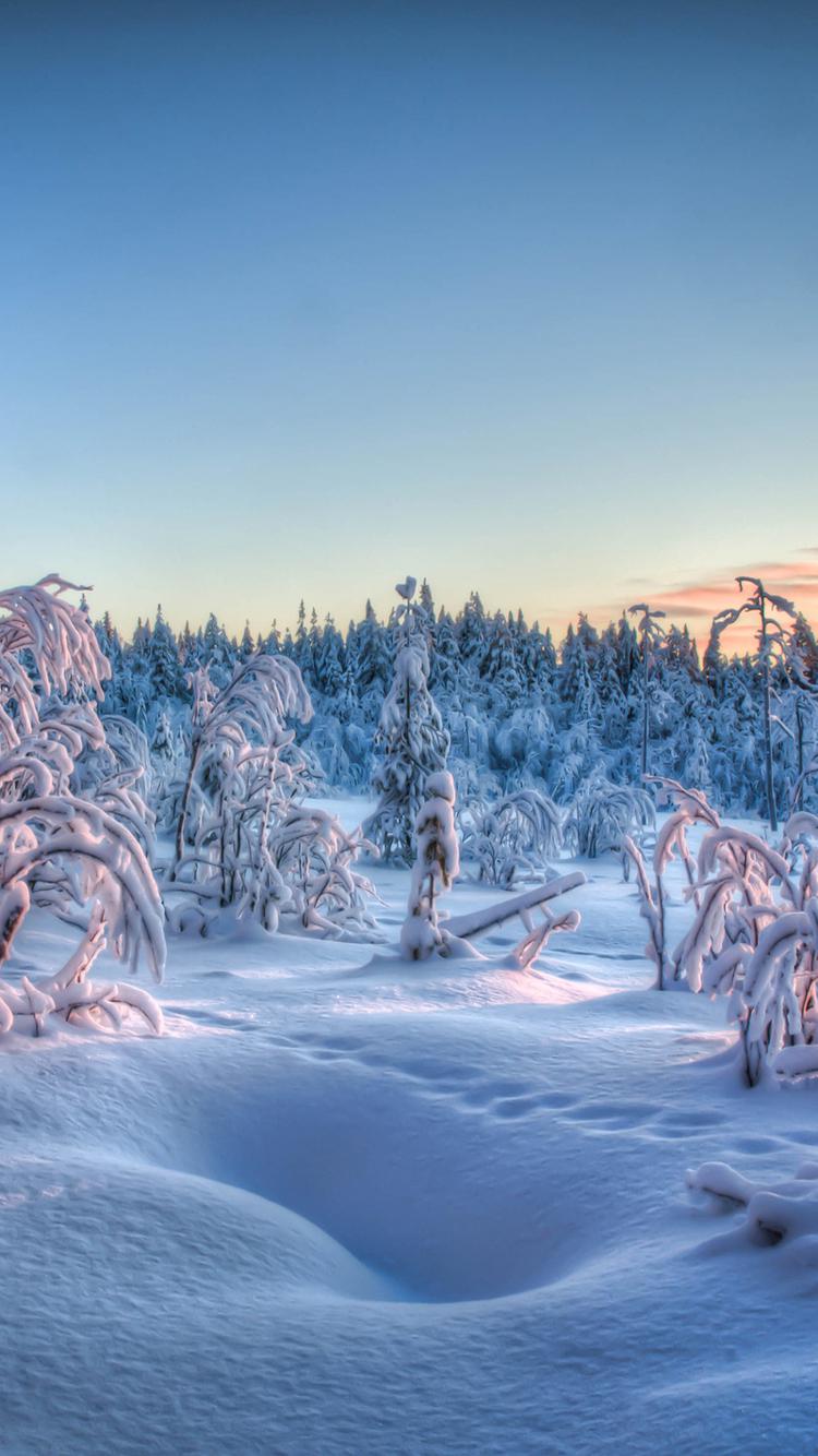 冰雪世界唯美风景