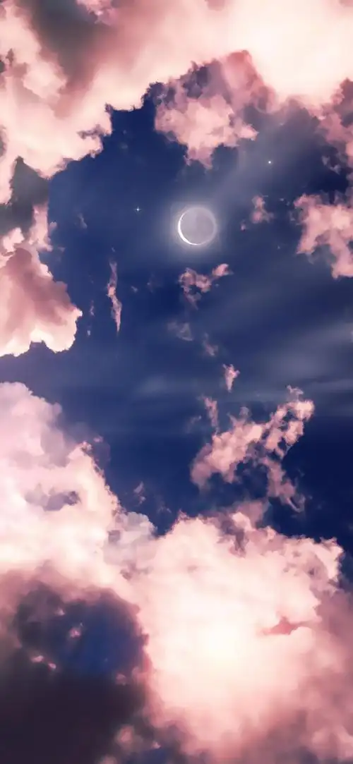 分享系一些手机壁纸聊天背景可爱治愈的送给选择困难的小可爱们00