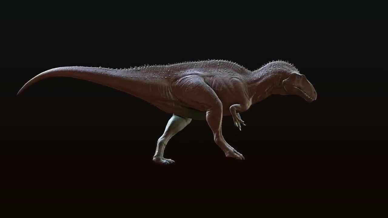 高棘龙|lofter(乐乎) - 让兴趣,更有趣