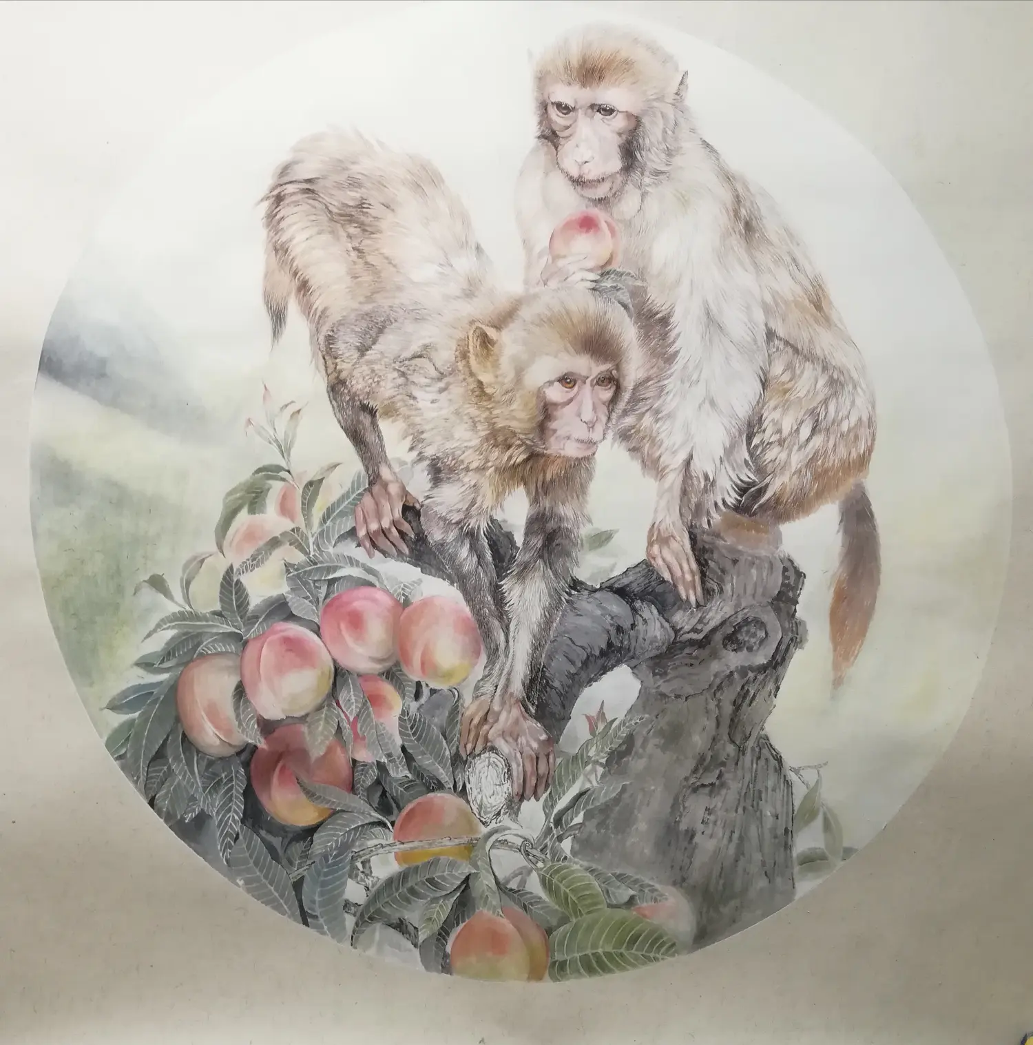 现代新工笔生宣纸留白动物猴干画法步骤