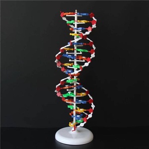 高中有机化学球棍模型原子球分子键晶体晶胞dna演示教具学生用初中