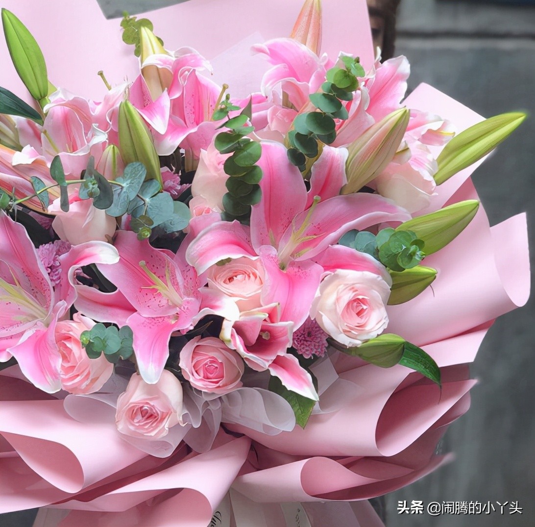 粉百合花语(粉百合花语花期)