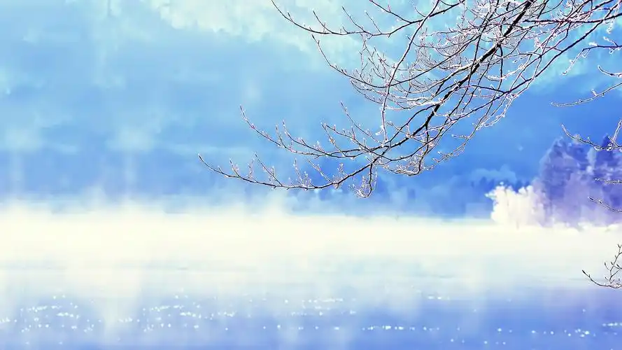 纯净雪景美景壁纸_纯净无污的世界