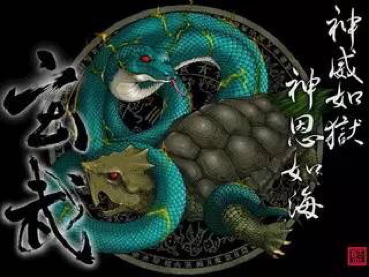 玄冥起初是对龟卜的形容:龟背是黑色的,龟卜就是请龟到冥间去诣问袓先