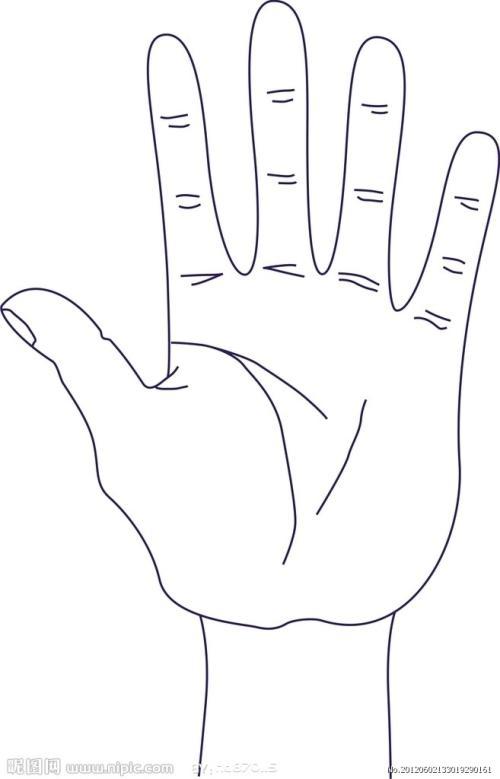 手掌的卡通简笔画