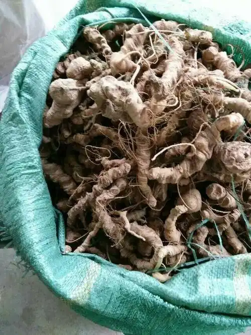 老挝野生三七 文山三七 三七花 今年刚到新货 野生三七的功效