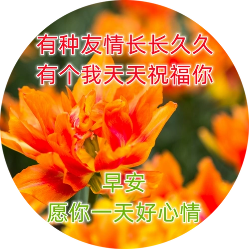 很美的早安祝福暖心壁纸片带字 只愿你幸福一切平安