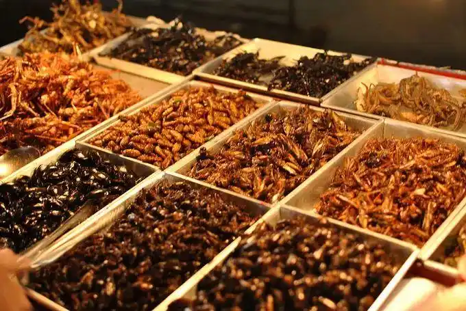 十种傣味黑暗料理,连云南人都不敢吃