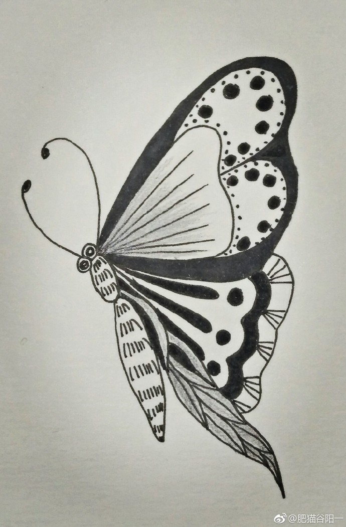 插画##黑白画涂鸦##黑白线描插画##每日一画##装饰画