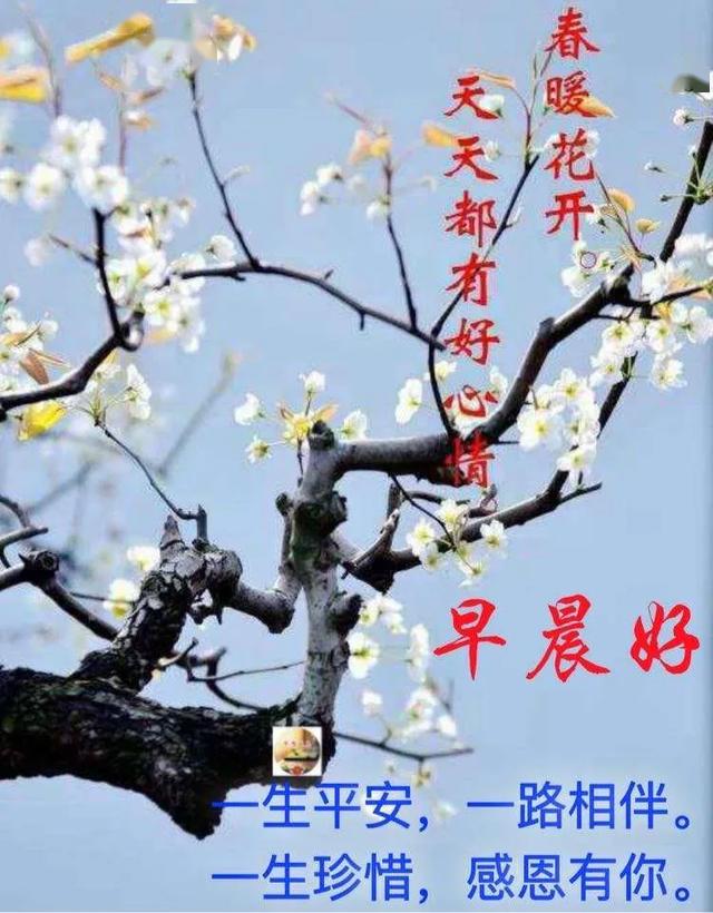 4张春暖花开早安图片带字唯美的微信朋友圈早上好图片带祝福语