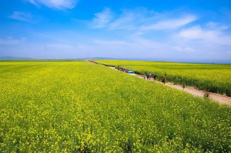 醉在九九艳阳天
