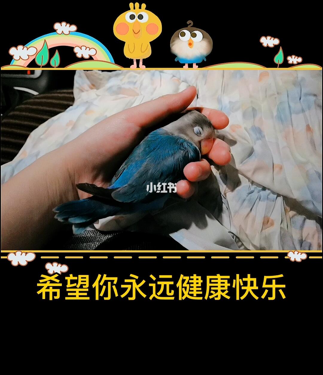 希望你永远健康快乐