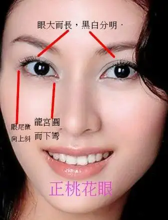 女人额头皱纹面相图解_额头生痣面相图解男命女人_额头高窄的女人面相