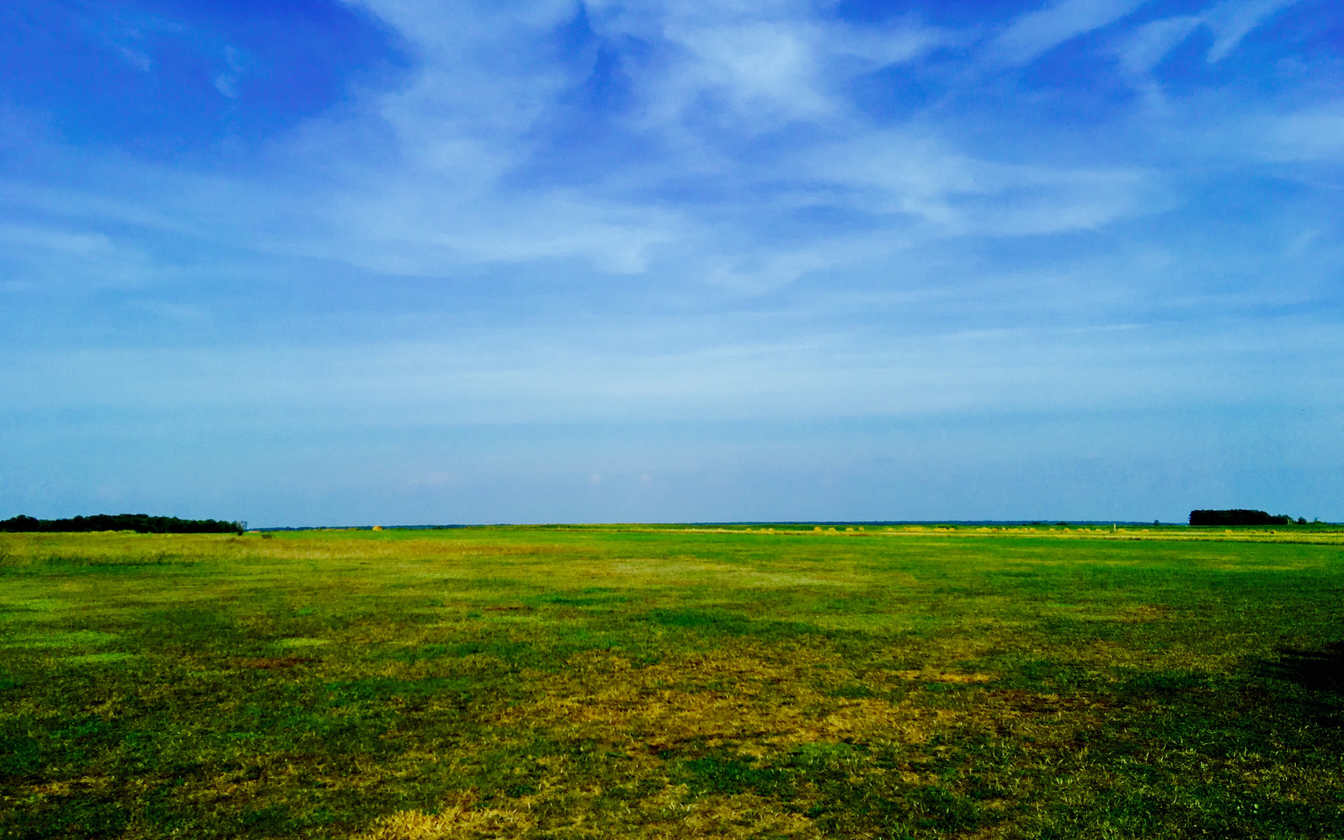 精选绿色田野护眼风景图片桌面壁纸