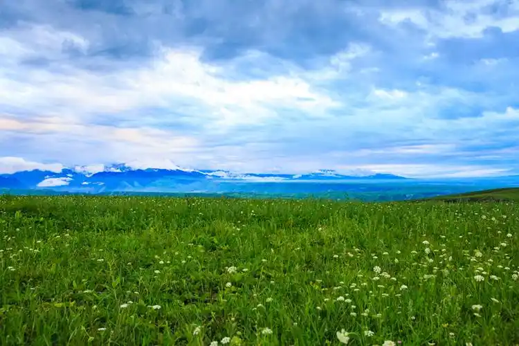 天空,草甸,绿色,广阔,地平线,云彩