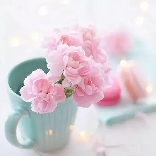 好看的淡雅唯美微信头像图片