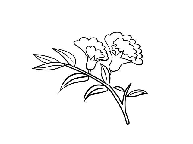 石榴花简笔画石榴花简笔画简单又漂亮