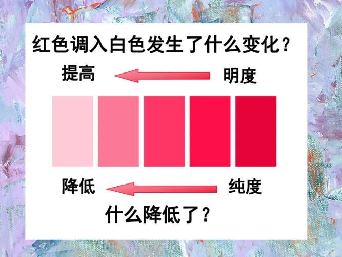 美术五年级下人美版3色彩的纯度课件41张